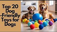 Top 20 Dog-Friendly Toys for Dogs