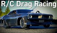 How to Get Started in R/C Drag Racing with the DR10