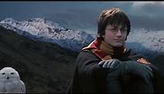 Harry Sits with Hedwig - Harry Potter and the Chamber of Secrets Deleted Scene