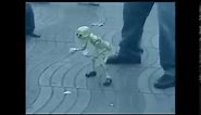 Skeleton puppet dancing for dank