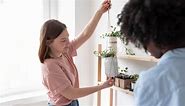 Indoor Hanging Plants: घर के अंदर छोटे-छोटे प्लांट को टांगने के लिए फॉलो करें ये 5 टिप्स