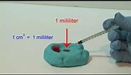 The cubic centimeter and the milliliter