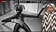 CARTOON DOG Was SPOTTED In My ROOM! HELP
