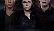The Twilight Saga: Breaking Dawn - Part 2 (2012) Cast and Crew