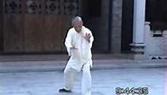 Master Lu,Gui-yao -- Liu He Ba Fa Chuan 六合八法 (Water Boxing)
