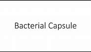 Bacterial Capsule - Microbiology