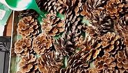 Crafting a Wood and Epoxy Resin Table with Pine Cones and LED Magic