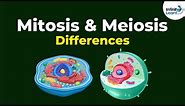 Mitosis Vs Meiosis | Differences | Infinity Learn