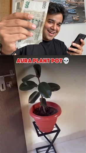 Indoor Plant Stand Review 🪴 | Best Budget Plant Stand | Balcony Decorating Ideas