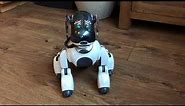 Sony Aibo ERS 7 commands and responses!