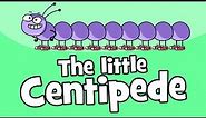 ♪♪ Centipede Children's Song | Funny Animal Songs | Hooray Kids Songs & Nursery Rhymes | Animals