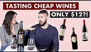 5 Best Budget Red Wines (ALL Under $15!!)