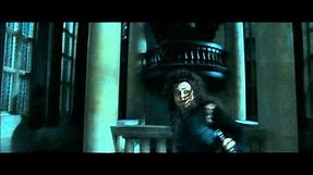 Harry Potter and the Deathly Hallows part 1 - Bellatrix's reign of terror at Malfoy Manor (part 1)
