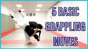 5 basic grappling techniques