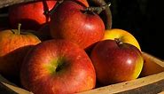 The best Cox's apple varieties to eat and grow — including one you'll never see in a supermarket - Country Life