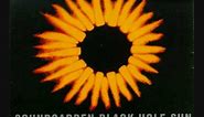 Black Hole Sun- Soundgarden