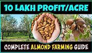 Almond Farming: Step by Step Complete Guide | How to grow Almonds Tree from Seed at Home