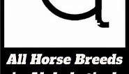 All Horse Breeds in Alphabetical Order