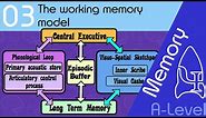 The working memory model [AQA ALevel]