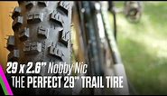 29 x 2.6 Schwalbe Nobby Nic REVIEW | THE PERFECT 29" TRAIL TIRE | Plus goes minus?