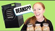 Loading Freeze Dryer: A Step by Step Guide to Freeze Drying Beans!