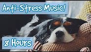 Have the Most Relaxed Dog! Relaxing Music for Easily Stressed Dogs, Nervous Dogs. Help Dogs Sleep!