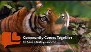 Protecting Their Home: Malaysia’s Natives Help to Save the Endangered Malayan Tiger