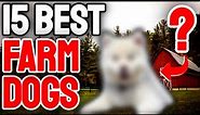 Top 15 Best Farm Dog Breeds | 🚜 Best Dogs For Farms
