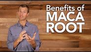 Benefits of Maca Root | Dr. Josh Axe