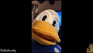 TikTok Funny Donald Duck Memes 😂😂