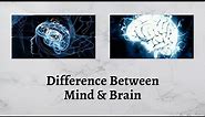 Difference Between Mind and Brain | The Brain is a Machine, But Your Mind is Magic!