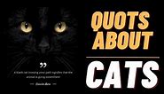quotes about cat | best cats quotes in english