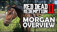 Red Dead Redemption 2 Horses - Morgan Overview