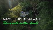 Mamu Tropical Skywalk