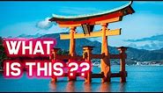 Torii Gate EXPLAINED