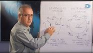 11 - Network architecture of CCTV IP systems - Dallmeier CCTV IP Academy