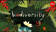 Why is biodiversity so important? - Kim Preshoff