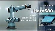 Robotic Arm Redefined: Meet the Haro380 - High Precision 6-Axis Mini Industrial
