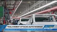 Robot attacked Tesla engineer at Texas factory: Report