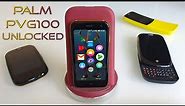 Unlocked Palm PVG100 Review: FacePalm