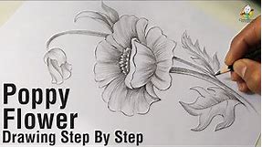 Poppy Flower Easy Step By Step Drawing & Shading | Using One Pencil 8B