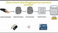 How does the fingerprint sensor work?