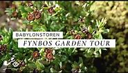 Babylonstoren Fynbos Garden - The Cape Floral Kingdom