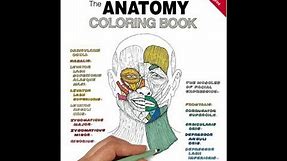 Flip Through The Anatomy Coloring Book
