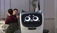Cat-like robot waiter purrrfectly cheers up cafe customers l GMA Digital