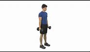 How to do a Dumbbell Hammer Curl
