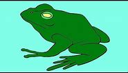 How to Draw Frog from America - American BullFrog Drawing