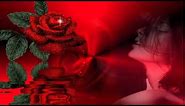Semino Rossi -- Rood Zijn De Rozen ( Red Are The Roses)