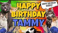 Happy Birthday Tammy! Crazy Cats Say Happy Birthday Tammy (Very Funny)