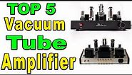 TOP 5 Best Vacuum Tube Amplifiers Review 2023